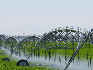 Irrigation et Hydraulique