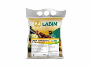 Labin Maxiroots