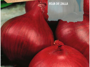 Cebolla roja de Zalla