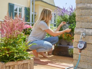 Jardinage et espaces verts