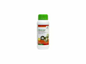 Citrol-ina huile insecticide