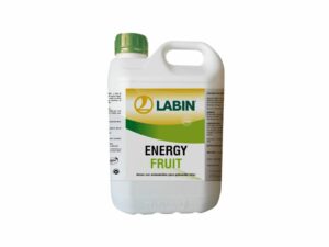 Labin energy fruit